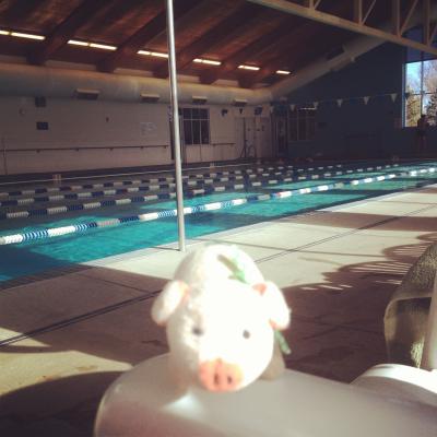 Das erste Mal schwimmen seit über einem Jahr! Yay! // The first time I will be swimming for years! Yay!